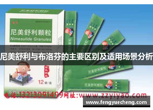 尼美舒利与布洛芬的主要区别及适用场景分析 尼美舒利与布洛芬的主要区别及适用场景分析