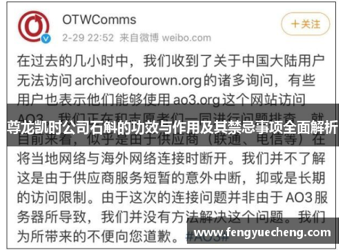 尊龙凯时公司石斛的功效与作用及其禁忌事项全面解析