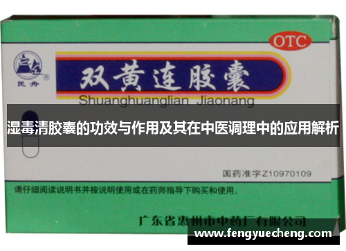 湿毒清胶囊的功效与作用及其在中医调理中的应用解析 湿毒清胶囊的功效与作用及其在中医调理中的应用解析