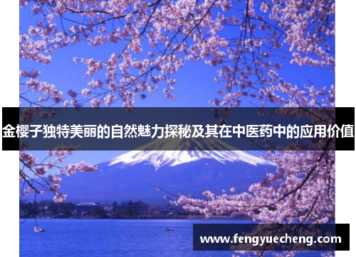 金樱子独特美丽的自然魅力探秘及其在中医药中的应用价值